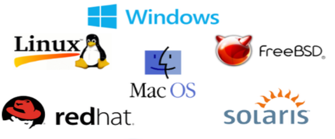 OS Selection